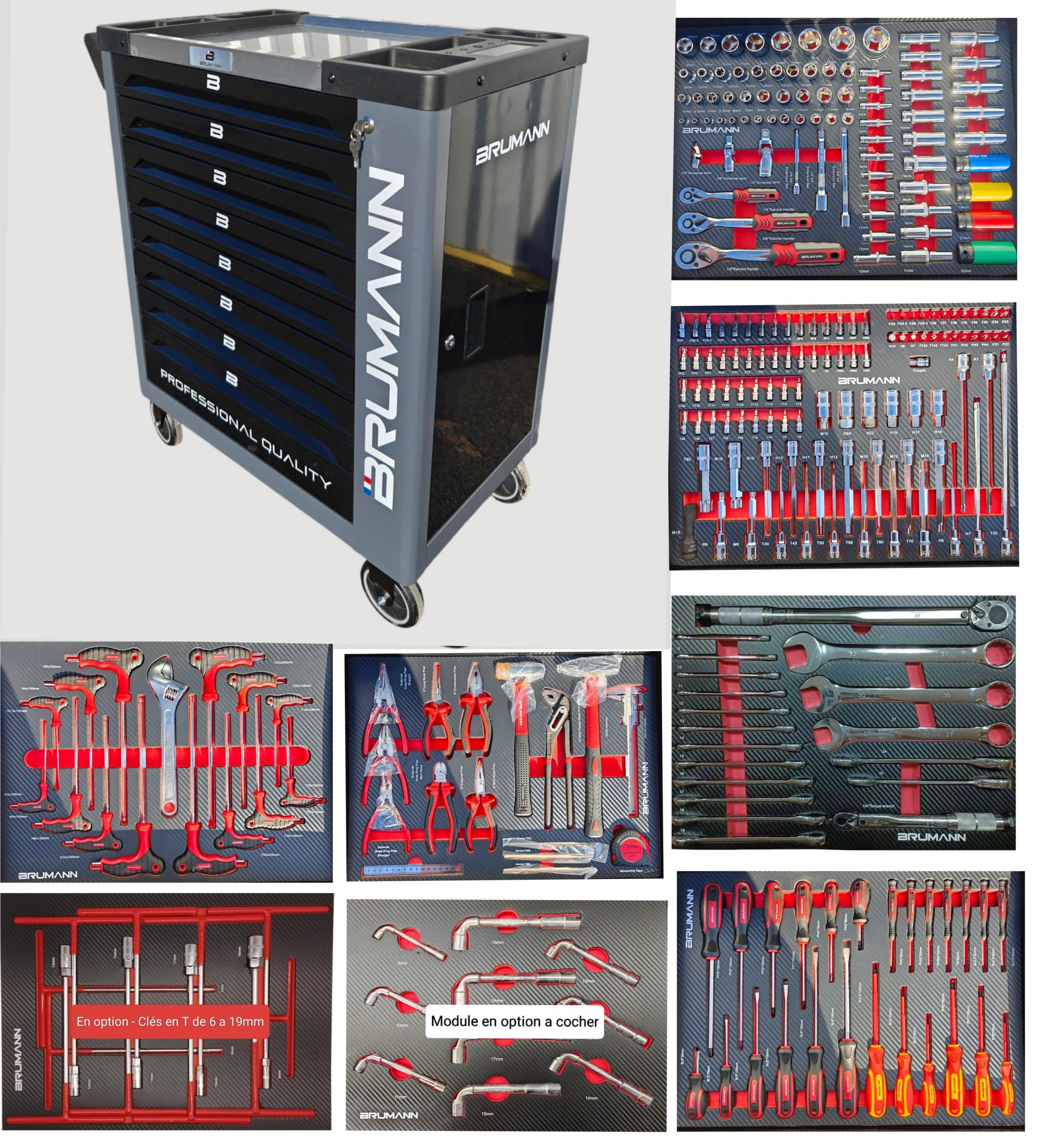 Servante Atelier Brumann 8 tiroirs 6 remplis d’outils + placard latéral + 2 clés dynamométrique GRIS Nardo